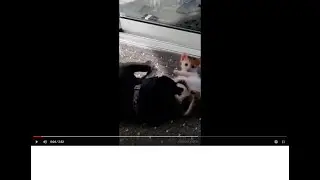 Настоящая мать-мама и для чужого ребенка. A real mother is always a mother for someone else's child.