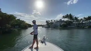 Fishing with live green backs in placida