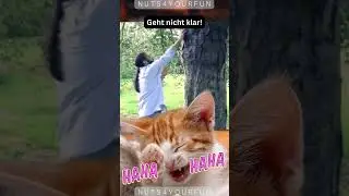 🤣🤣🤣 Bäume umarmen - bist dabei? 🤣🤣🤣 
