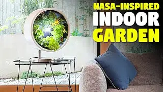 Grow Vegetable and Herbs at Home Like NASA!