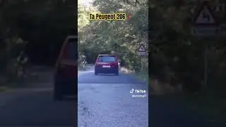 ta Peugeot 206?