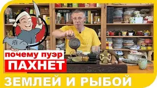 WHY DOES PU-ERH SMELL LIKE FISH OR EARTH???
