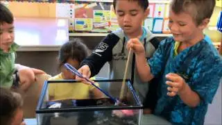Pukepoto Room 1 Moana Experiment