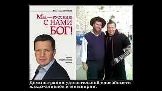 Что такое родина  ....