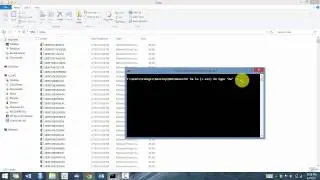 Command Line Workshop - Merge Files