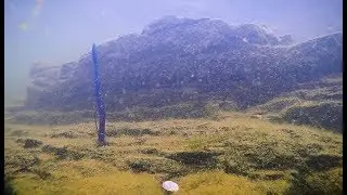 Mag FattyZ - Floating Full-Bodied Worm