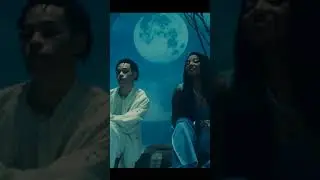 Bin - Apê 1001 (para status)