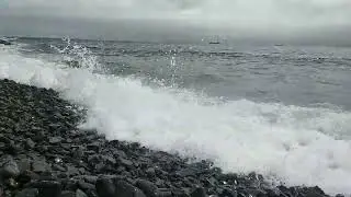 Live sounds of the sea and waves. Japanese Sea. 2022 05 29