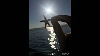 Утренняя зарядка. Автор Мичурин В. Г.