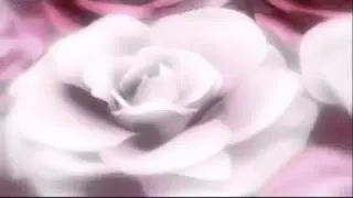 Футаж Розы