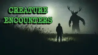 (3) Creepy Stories Submitted by Subscribers | CREATURE ENCOUNTERS #13