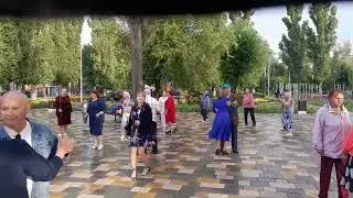 Роза белая моя