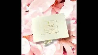 NEW! Discovery Collections