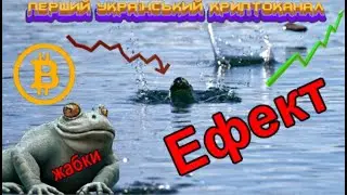 BITCOIN  - ЕФЕКТ ЖАБКИ!