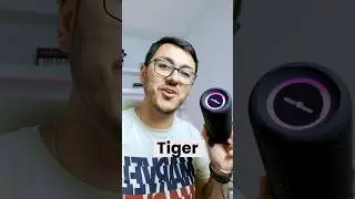 Enceinte Bluetooth WiseTiger P3 #enceinte #bluetoothspeaker #tech