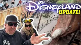 What Happened to Disneyland!? Major Changes, Crowds, Closures, & New Things coming-Big Park Update!