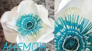 Big ANEMON from izolona, growth flowers, flowers from izolona do it yourself