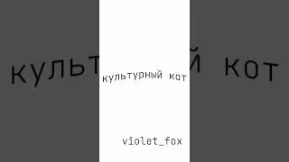 культурный кот 