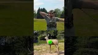 50 yd shop on balloon with bow #archery