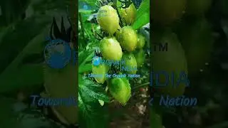 #महाराष्ट्रातील