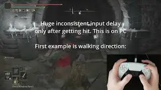 Elden Ring PC unusual input lag after getting hit
