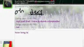 Random conversation with ChibiAisuu on MSN