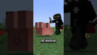 Rare Minecraft Easter Eggs