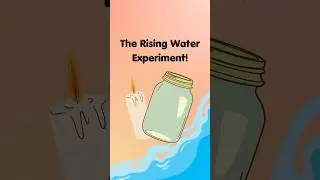 The Rising Water Experiment! #scienceexperiments