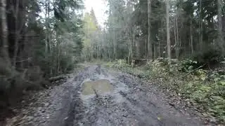 Велопрогулка октябрь 2021