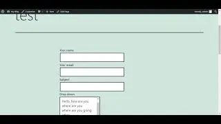 How To Add Input Field In The Contact Form Dropdown With Jquery  Advance Wordpress Tutorial