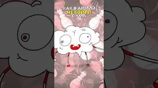 Как в армии не сойти с ума? 