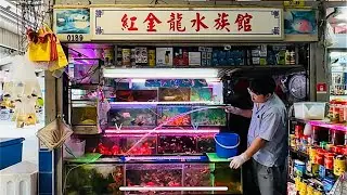 🇸🇬 Market, Hawker Centre & HDB Retail Shops in Ang Mo Kio (Teck Ghee Square)
