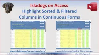 Highlight Sorted & Filtered Columns in Continuous Forms