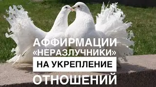 💕🕊️АФФИРМАЦИИ «НЕРАЗЛУЧНИКИ» ДЛЯ УКРЕПЛЕНИЯ ОТНОШЕНИЙ💕🕊️ #счастьеесть #аффирмации