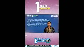 Our New Strategic Plan......E-Learning HUB.....Zodiac Academy.... #zodiacacademy #education #shorts