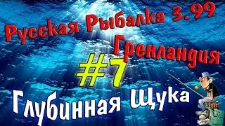 Русская рыбалка 3.99 (#7) Ловим глубинную щуку.