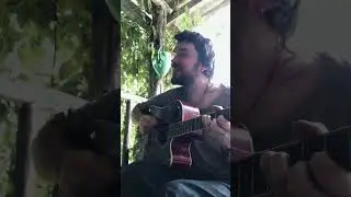«Голубь» - Саша edler Мочалов