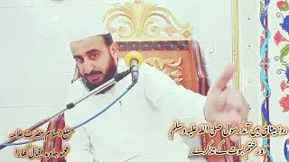 روز میثاق میں آمد رسول صلی اللہ علیہ وسلم اور ختم نبوت کے تذکرے
