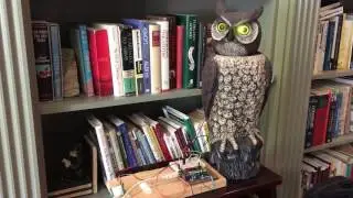 Owl controlled by Arduino and motion sensor