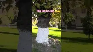 Декабрь в Оше 😍