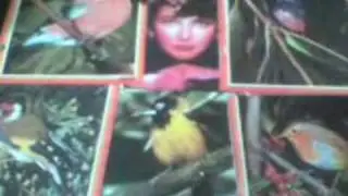 La main a la Kate Bush - Aerial - Prelude