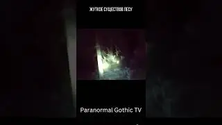 Жуткое Нечто в Лесу ┃Paranormal Gothic TV