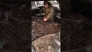 Линия соприкосновения (Суммы/Курск)#2
