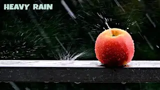Rain Heavy Loud With Sound Effect ▪︎ No Copyright Video ▪︎ Free To Use