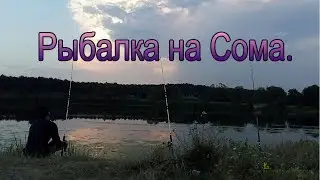 Shore fishing for catfish with a Donkoi rig. Belarus.