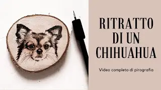 Pirografia e ritratto di un chihuahua