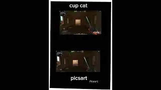 кап кат или другой какой лучше?#trending #tiktok #рекомендации #хочуврек #ютуб #smeath_gal