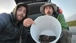 Crab Snaring Catch & Cook! (San Mateo County)