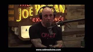 Joe Rogan Discusses Stem Cell Therapy in Panama with Action Bronson