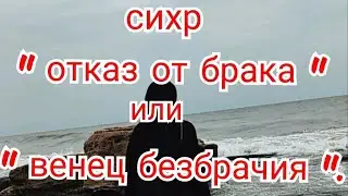 28). 